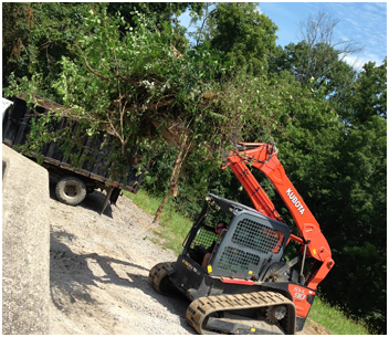 kubota-clearing-brush-land